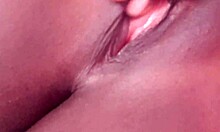 Introduction To The English Language