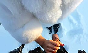 Cute Girlfriend in White Hat Sucks on Snow 😊