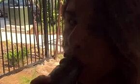 crystina rossi poses fit, then blows and fucks the toy slutty