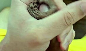 Meu Super Filme Da Cueca Amarela