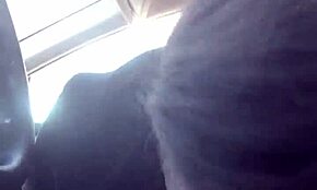 Lesbian Best Friend Surprises with Road Head in Wild Moment