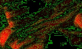 Real Homemade Wedding Moments With Bride