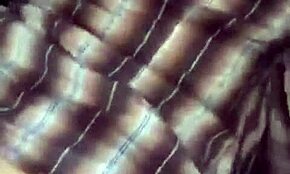 i fuck my wife in the car with blowjob and doggystyle outdoor in forest