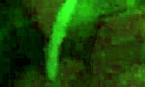 I love fucking my self