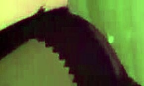 Is Mistress Sofi ignoring you while facesitting in nylon?