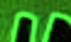 outdoor sex with horny blonde girlfriend