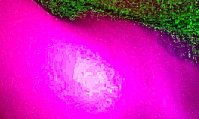 lesbians licking wet pussies and squirting at party with tongues