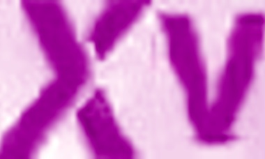 Layla Sia Intense Scene