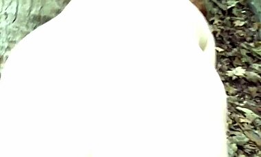 I fucked this brunette with pale ass in the woods POV style