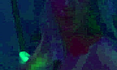 Petite wife Nikki Lixxx licks big ass and takes big cock in POV couple scene