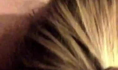 Dirty amateur gets fingered and fucks big black cock passionately 😈