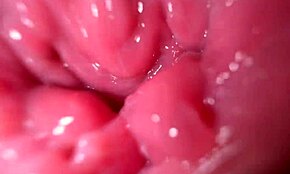 Kan snavset snak og varm fisse sprede få dig til at komme med mig?