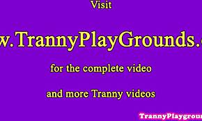 Ladyboy Dilettante Sega Più Cazze in Azione di Gruppo